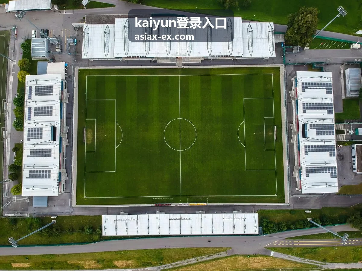 kaiyun登录入口-常规登录与异常处置流程说明